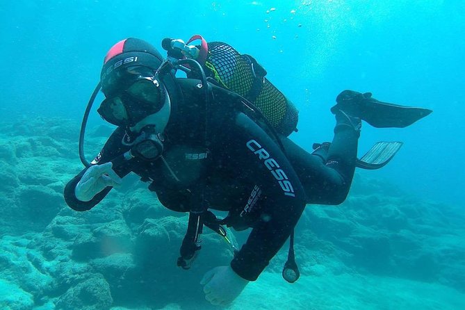 Discover Scuba diving in Gran Canaria with Hotel Pick-up - Who this intro scuba experience is best for