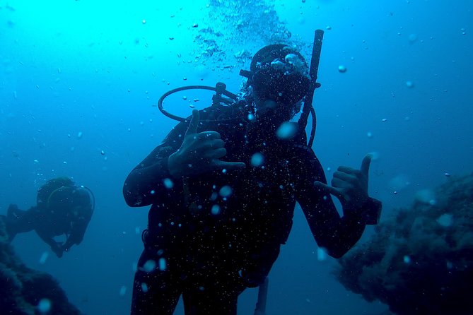 Discover Scuba diving in Gran Canaria with Hotel Pick-up - Amadores Bay: what your first underwater session looks like