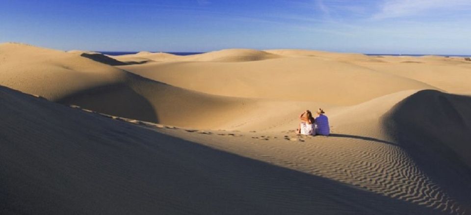 E-Bike City Tour with Camel Safari on Maspalomas Sand Dunes - Maspalomas Reserve viewpoints and the lagoon where birds show up