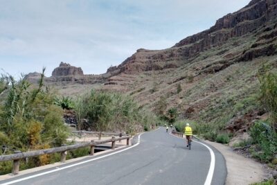 e-Bike Mountain Tour inside a Natural Park+option Tapas in a Cave - Parque Urbano del Sur: A Quick Green Pause With Ducks