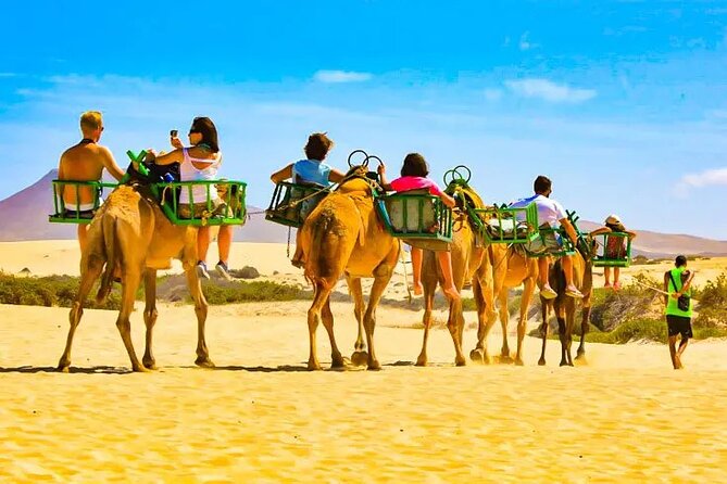 e-Scooter City Tour + Camel Ride inside Maspalomas Dunes - Stop 1: Reserva Natural Especial de Las Dunas de Maspalomas (the protected desert)