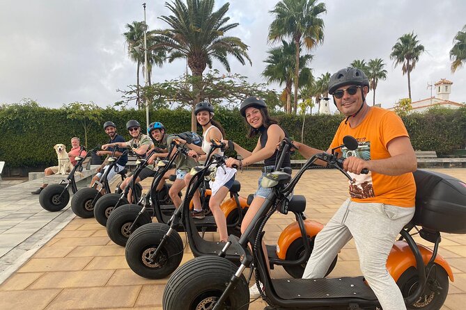 e-Scooter City Tour + Camel Ride inside Maspalomas Dunes - Stop 3: La Charca blue lagoon and birdwatching pause