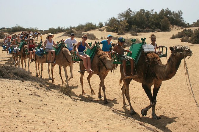 e-Scooter City Tour + Camel Ride inside Maspalomas Dunes - Stops 4 & 5: crossing the green golf area and ending at Playa del Inglés panoramas