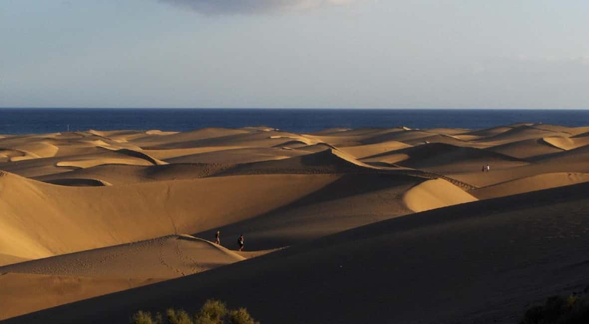 e-Scooter Step Kickstart Guided Tour: Sightseeing Maspalomas - What to bring and how to make the most of your ride
