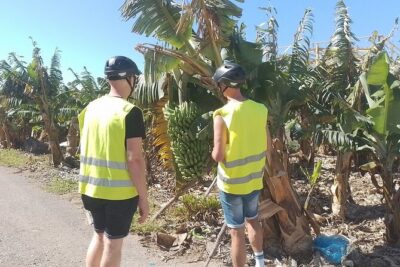 Electric Bike Panoramic South Coast Tour Optional Fishing Tapas - Beyond the dunes: golf cycle paths and Pasito Blanco