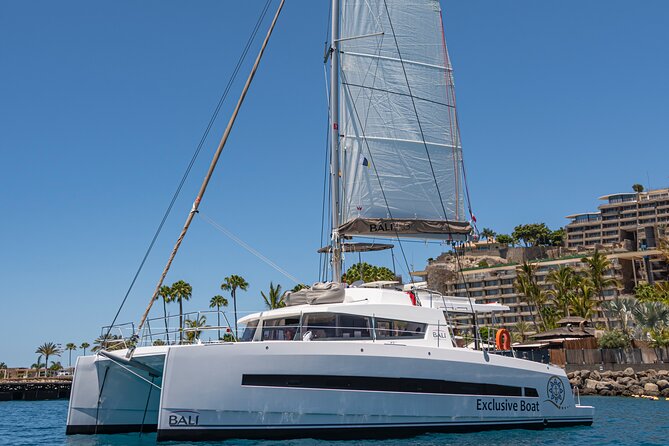 Exclusive Private Charter in Gran Canaria - Key highlights to know before you go