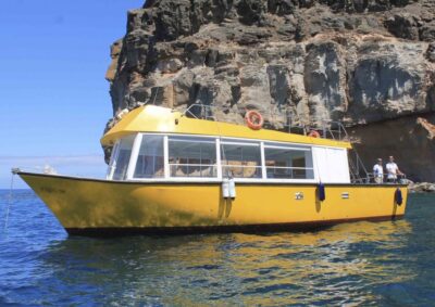 Explore Gran Canaria: Boat Tour with Wine & Food Tasting - The wine-and-food pairing: what it is and why it feels like more than snacks