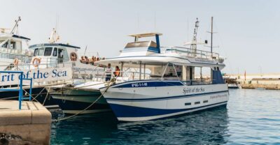 From Puerto Rico de Gran Canaria: Dolphin Watching Cruise - Getting to the port: the 50-minute bus ride matters