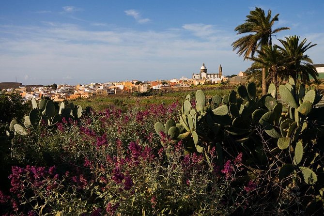 Full-Day Gran Canaria Island Tour - Cumbres - Arucas (30 minutes) and how to use a short stop well