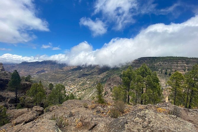 Full-Day Gran Canaria Tour with Teror, Tejeda and Lunch in Fataga - Fataga lunch in Tierra Guanche: what’s included and what to expect