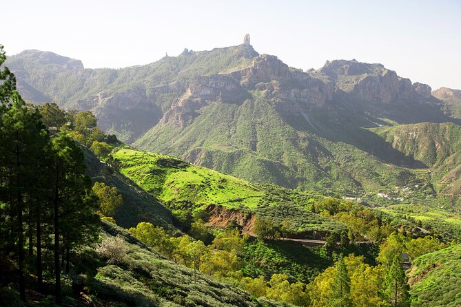Full-Day Gran Canaria Tour with Teror, Tejeda and Lunch in Fataga - Finca Canarias Aloe Vera Fataga: a short visit with real-world uses
