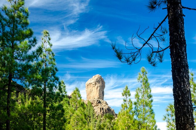 Full-Day Gran Canaria Tour with Teror, Tejeda and Lunch in Fataga - The guiding style: Alan, Stephen, and the value of a real local voice