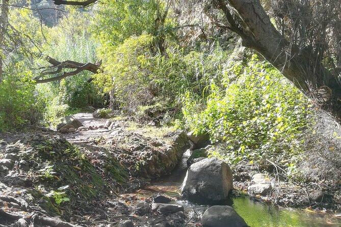 Full day Hiking and Waterfalls Experience - Key things I’d bet on before you go