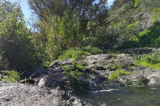 Full day Hiking and Waterfalls Experience - Group Size, Pickup, and the Pace You Can Count On