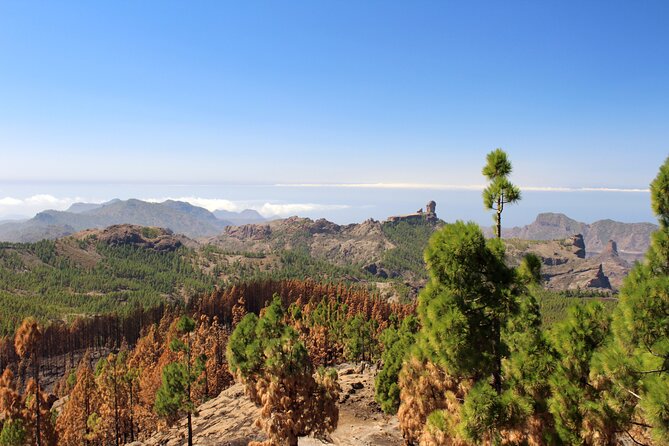 Full day Hiking Gran Canaria Peaks of Gran Canaria - A small-group mountain day above Gran Canaria’s highest peak