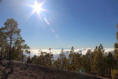 Full day Hiking Gran Canaria Peaks of Gran Canaria - The hike itself: pine forest, peaks, and the Roque Nublo “wow”