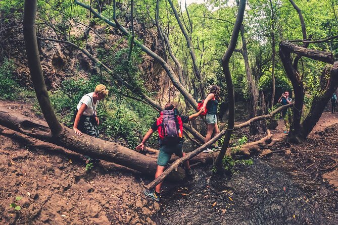 Full Day Rainforest Tour with Tasting and Swimming Time ツ - El Puertillo natural pools: swimming, black sand, and tide reality