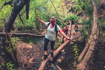 Full Day Rainforest Tour with Tasting and Swimming Time ツ - Eco-farm tasting: organic farming in practice, not in theory