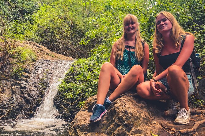 Full Day Rainforest Tour with Tasting and Swimming Time ツ - Who this Gran Canaria rainforest tour fits best