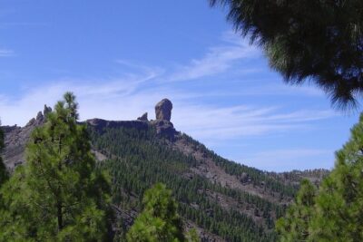 Full-Day Tour Exploring History, Nature and Aloe Vera Farm - The guide’s job: connecting caves, villages, and volcanic rock
