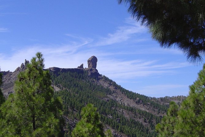 Full-Day Tour Exploring History, Nature and Aloe Vera Farm - The guide’s job: connecting caves, villages, and volcanic rock