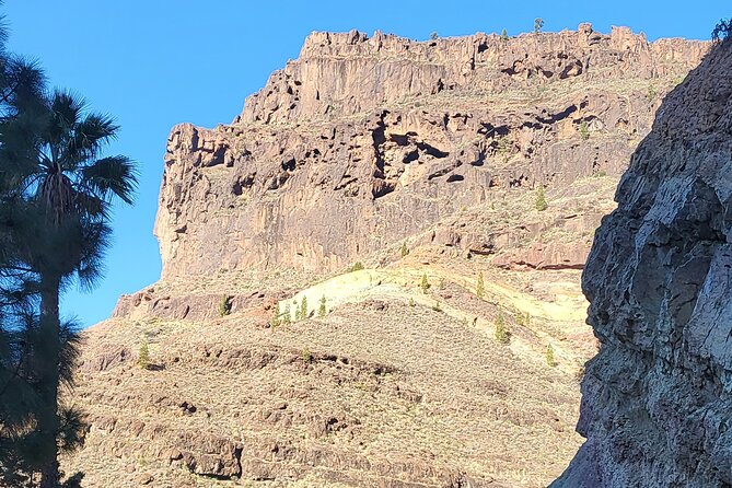 Full Private Tour of Gran Canaria with Natural Pools - Puerto de las Nieves: fish lunch time and the Dedo de Dios hand