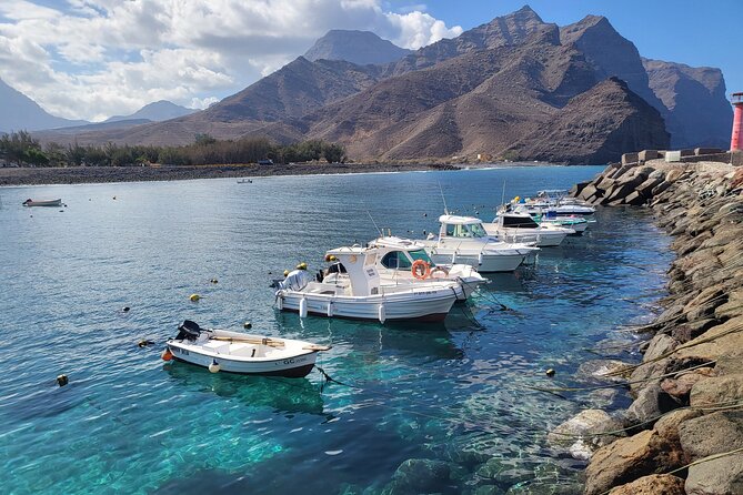 Full Private Tour of Gran Canaria with Natural Pools - Value for money: what your $421.44 per person really buys