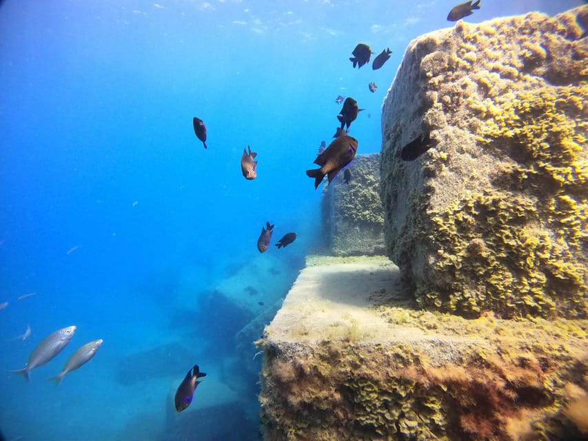 Gran Canaria: 3-Day Open Water Diver Course - Key things I’d watch for before you go