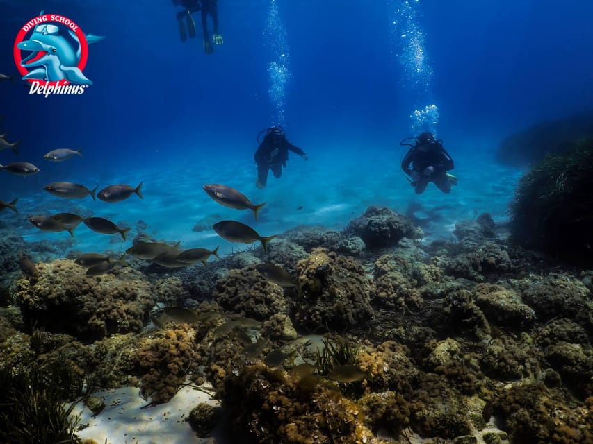 Gran Canaria: 3-Day Open Water Diver Course - Atlantic conditions: clarity, sand, and why supervision is part of the fun