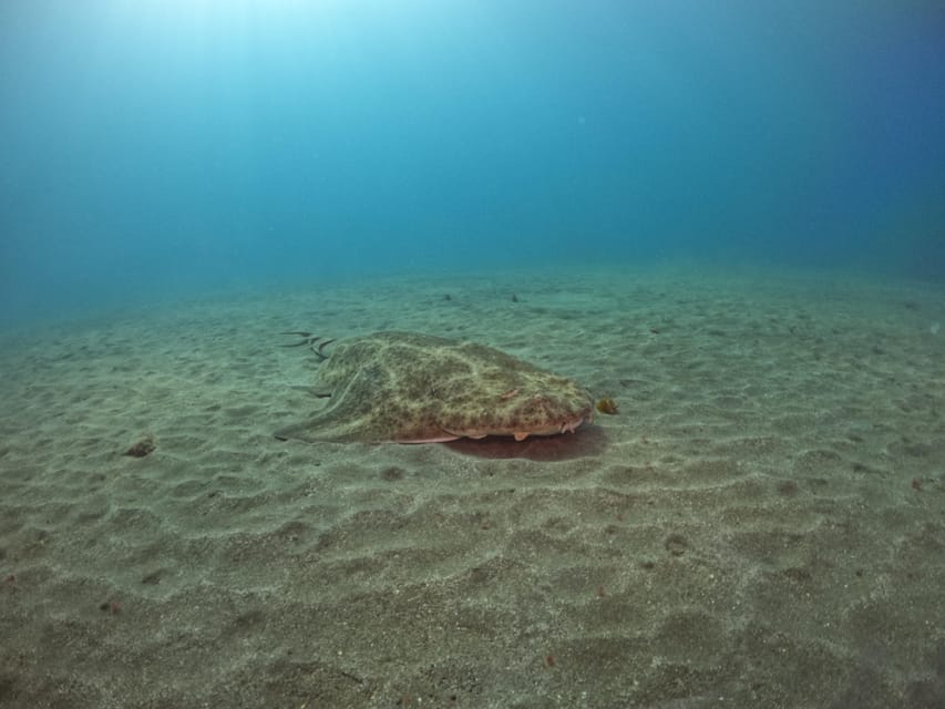 Gran Canaria: 3-Day Open Water Diver Course - Certification you can actually use: independent scuba up to 18m