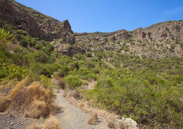 Gran Canaria 7 Highlights Small Group Tour with Tapas Picnic - Key highlights worth your attention