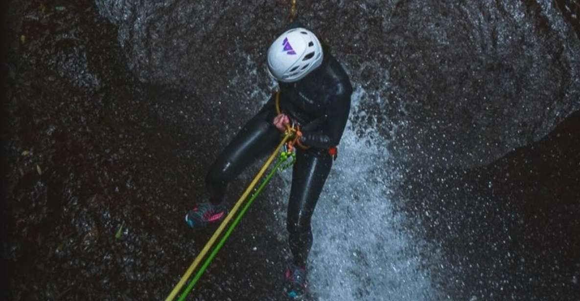 Gran Canaria: Canyoning in the Rainforest - Why Gran Canaria Canyoning Feels Like a Secret Rainforest