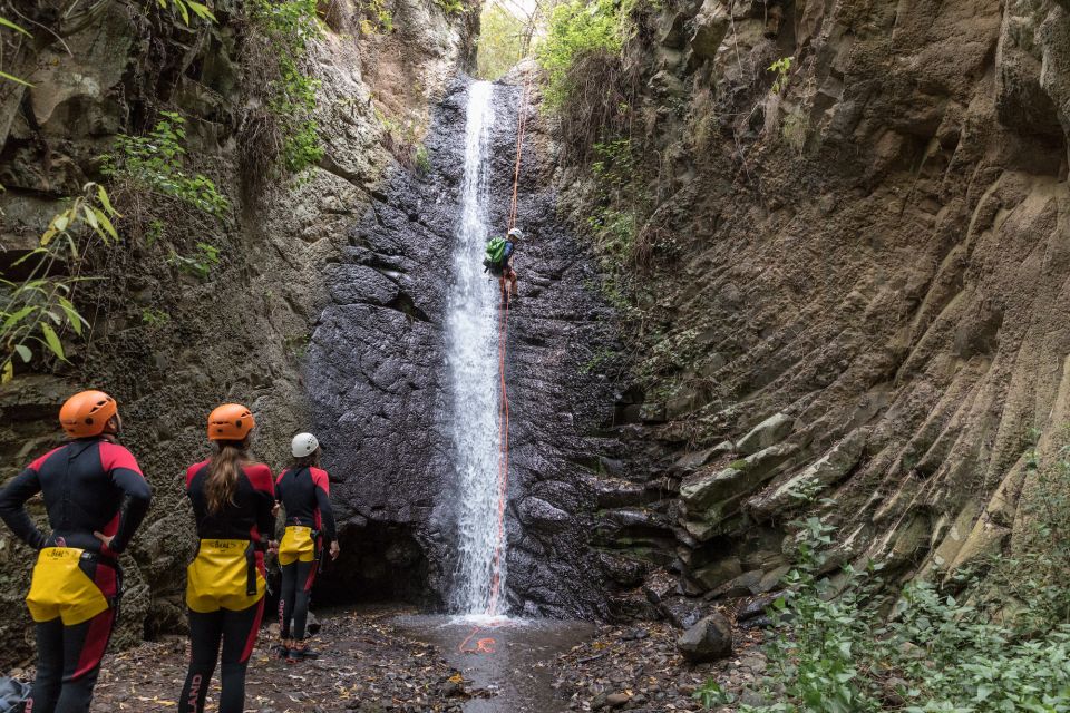 Gran Canaria: Canyoning in the Rainforest - The Value Math: Is $99 Worth It?