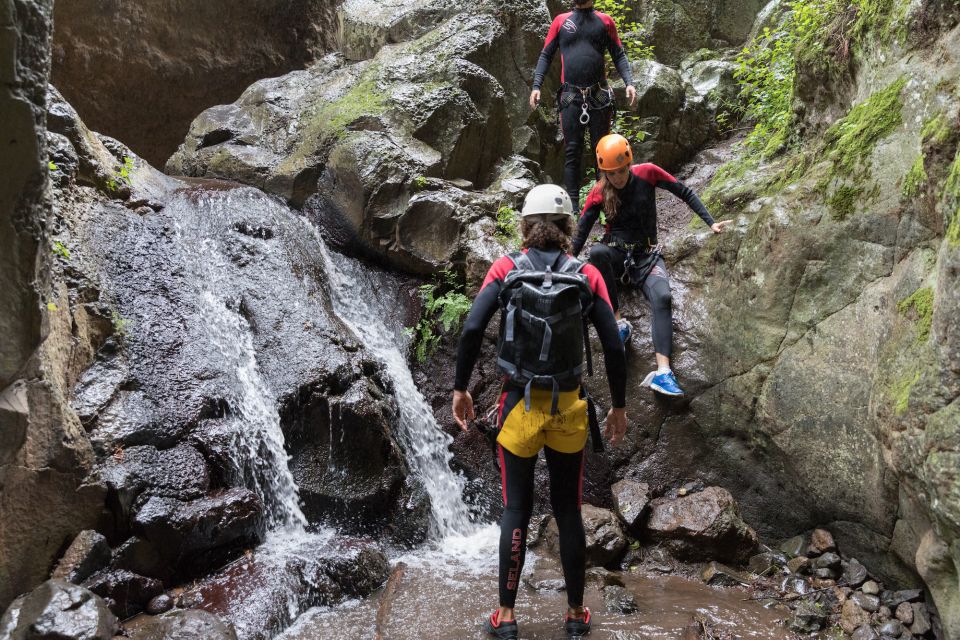 Gran Canaria: Canyoning in the Rainforest - Who This Tour Suits Best (and Who Should Skip It)