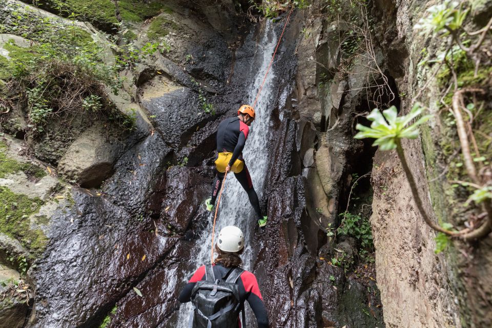Gran Canaria: Canyoning in the Rainforest - Quick, Practical FAQ on Rainforest Canyoning