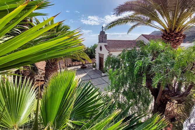 Gran Canaria Cave, Oasis, Red-gorge Adventure & cosy Picnic - Stop 6: Mirador La Sorrueda and Its Oasis Trail (Water Lessons Included)