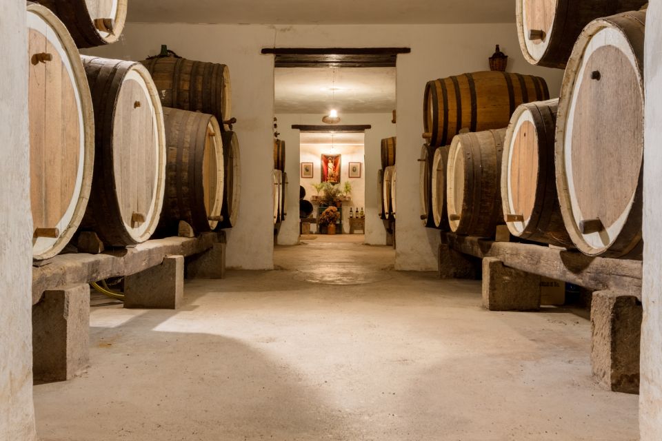Gran Canaria: Customizable Private Tour - Private Gran Canaria, Tailored from Las Palmas