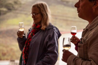 Gran Canaria: Customizable Private Tour - Choosing Your Day: Mountains, Vineyards, Culture, or Sea Views
