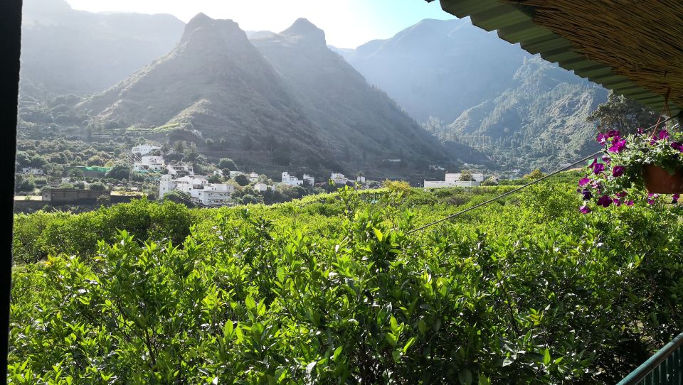 Gran Canaria: Customizable Private Tour - Coffee Valley and a Plantation Visit: A Tasting You Can Follow