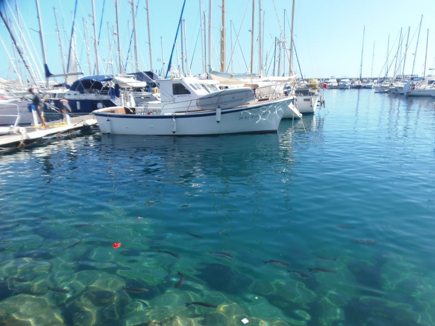 Gran Canaria: Customizable Private Tour - Pace, Timing, and What to Expect in 6.5 Hours