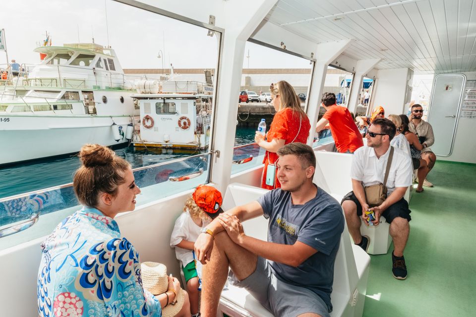 Gran Canaria: Dolphin and Whale Watching Cruise - The 2.5-hour cruise: how dolphin and whale spotting plays out