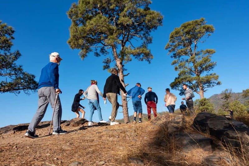 Gran Canaria: Full Coast Tour with Local Guide - Playa de San Felipe: a calm coastal stretch to breathe