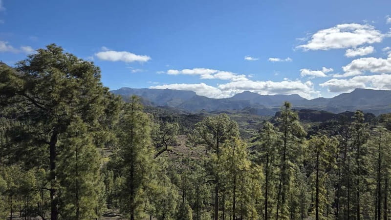 Gran Canaria: Full Coast Tour with Local Guide - What to pack and how to handle the pace