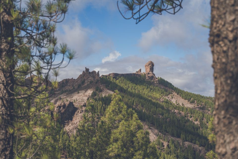 Gran Canaria: Full-Day Customizable Private Photography Tour - Local life, not just set-pieces