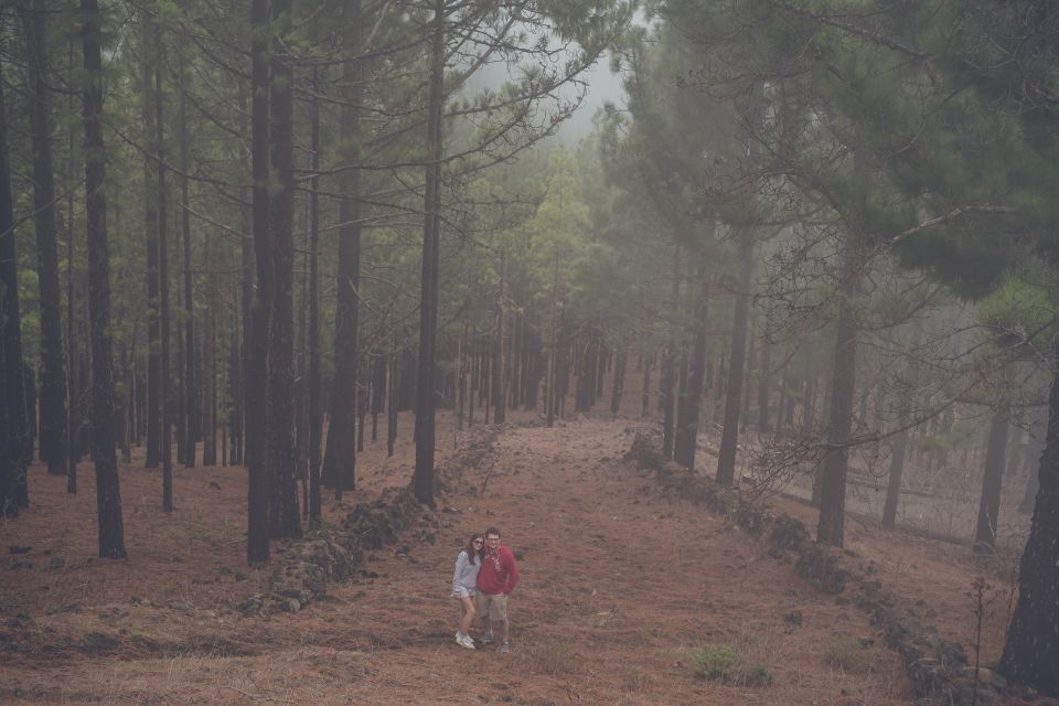 Gran Canaria: Full-Day Customizable Private Photography Tour - How you get arid south and lush north in one 7-hour swing