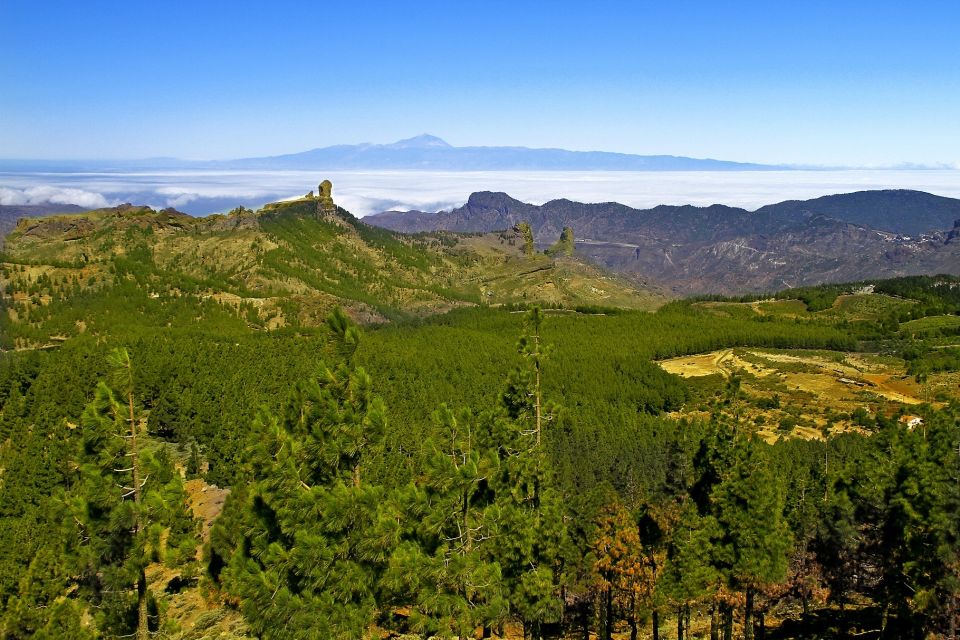 Gran Canaria: Full-Day VIP Tour by Bus - Firgas stroll and the north-coast green feeling