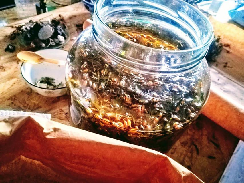 Gran Canaria: Green Witchcraft in the Magic Island - The Azuaje ravine hike: botanical exploration and medicinal plant collecting