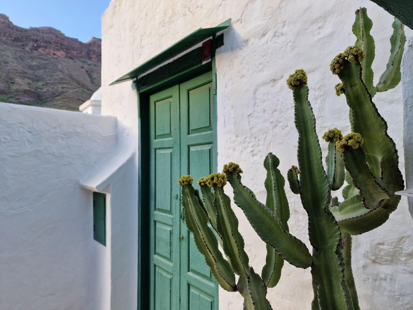 Gran Canaria historical house with mango plantation - The vermouth-making side in Mogán: white and red Lolito