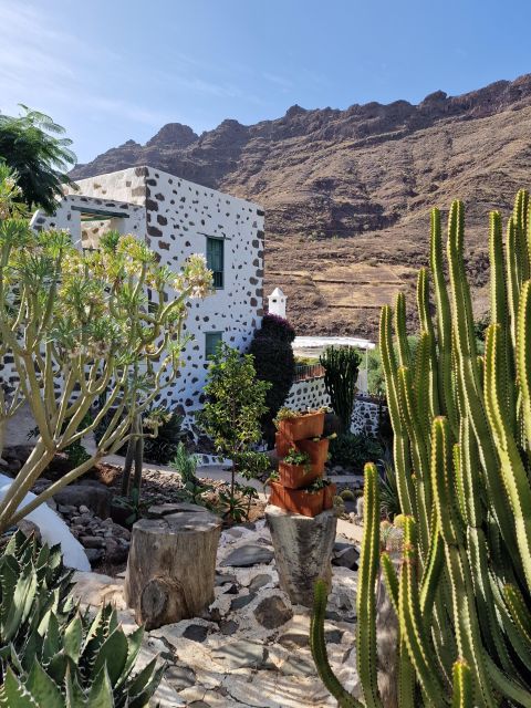 Gran Canaria historical house with mango plantation - Price and value: what $63 gets you, and who it fits