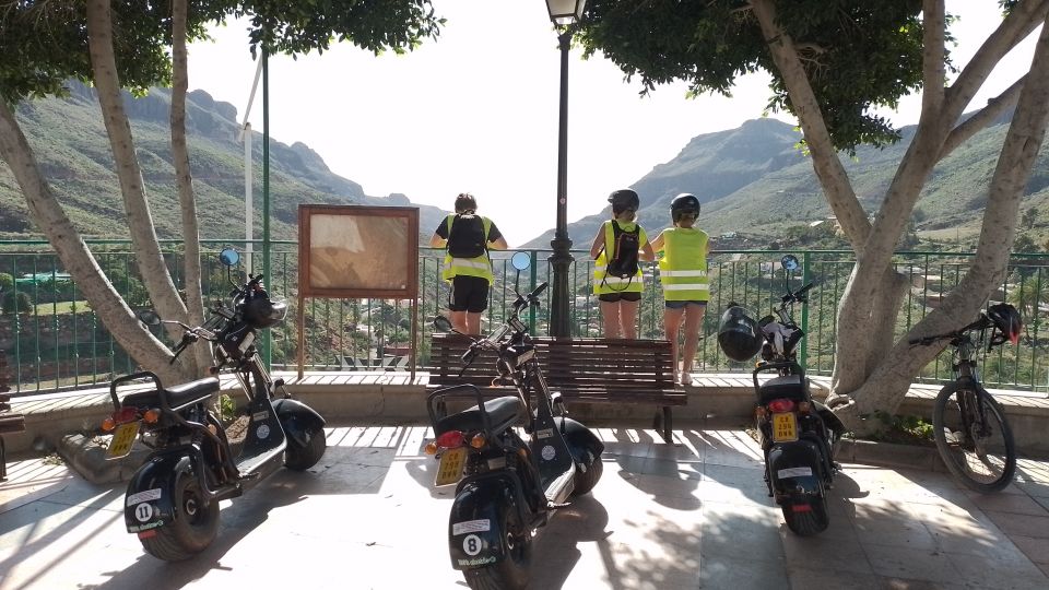 Gran Canaria: Los Pilancones Natural Park e-Scooter Tour - Ayagaures Village and the Green Valley Route Through Palms, Cactus, and Flowers